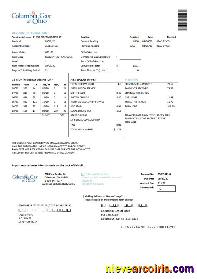 USA Columbia Gas of Ohio utility bill